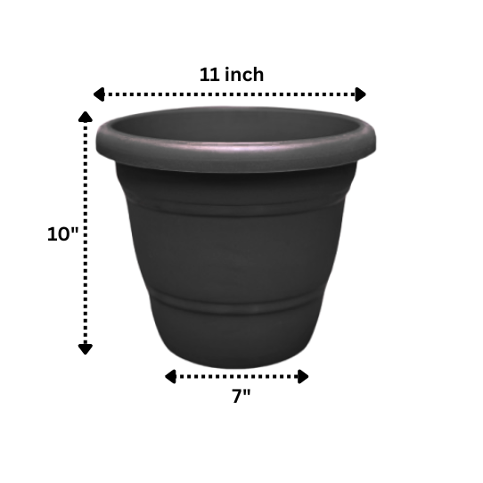 NG-00055-12-Black